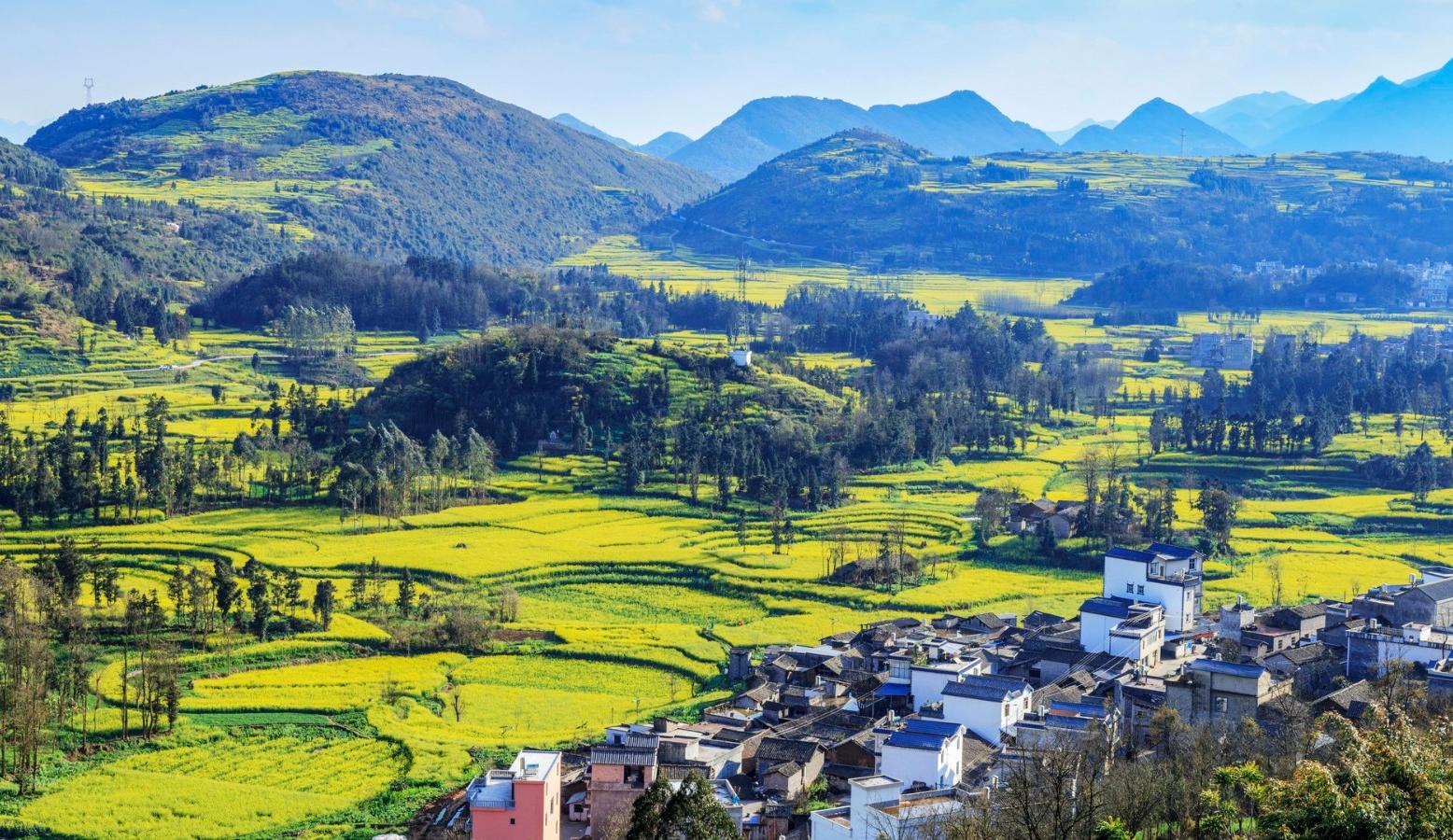 郑永年：统筹三大基建，实现三农现代化