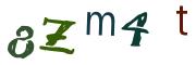 圖片的 CAPTCHA